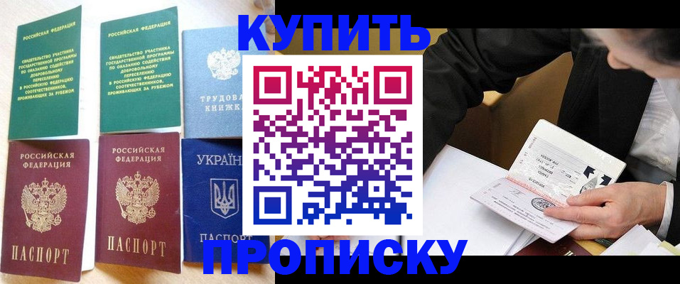 прописка для школы в Светлогорске